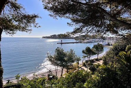 association saint jean cap ferrat-commercants saint jean cap ferrat-professionnels saint jean cap ferrat-evenements saint jean cap ferrat-commerces saint jean cap ferrat